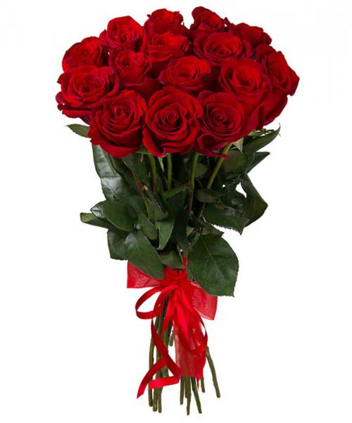 15 красных роз